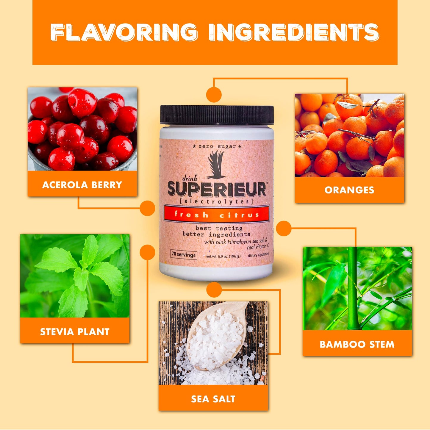 Superieur Electrolytes–Plant Based Electrolyte Supplement w/Sea Minerals for Hydration & Recovery–Keto Friendly, Non-GMO, Zero Sugar, Vegan Healthy Sports Drink Powder–Strawberry Lemon(70 Serv)