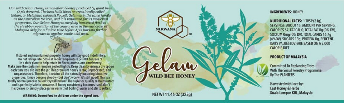 FortuneHoney.com - Gelam Raw Wild Bee Honey • Apis Dorsata • Monofloral • Unpasteurized • 11.46 oz