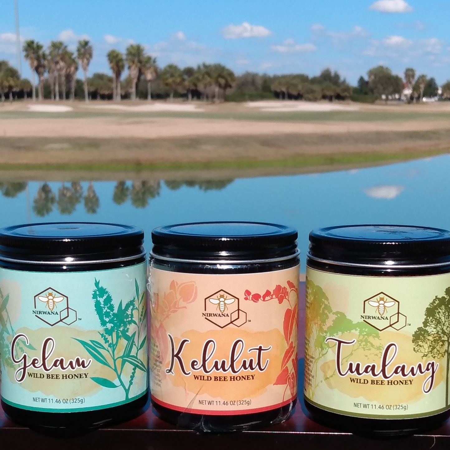 FortuneHoney.com - Kelulut Raw Wild Stingless Bee Honey • Trigona • Multifloral • Unpasteurized • 11.46 oz