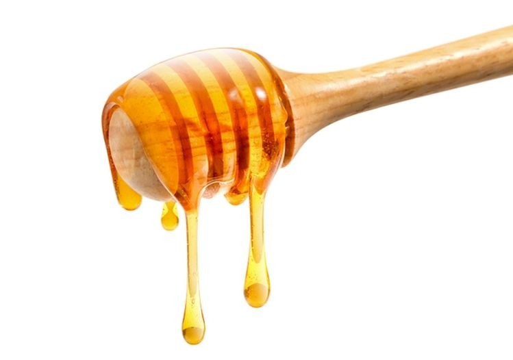 All That's Sweet Is Not Honey: FDA Report on Economic Adulteration of Imported Honey