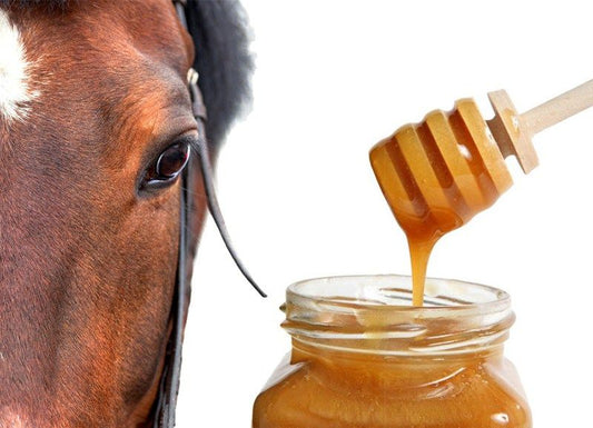 The Use Of Medicinal Honey In Wound Care Of Horses