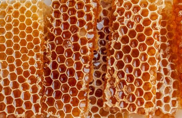 The Science Of Honey And Wound Healing — It Seems To Work