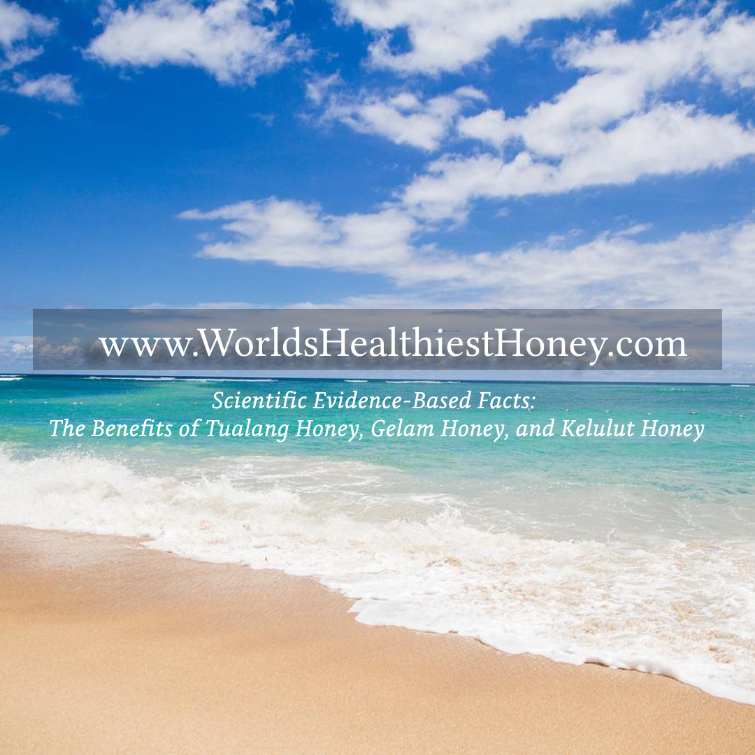 Photo of beautiful beach with beige sand, aqua water, and blue sky with puffy clouds. Graphic text website www.WorldsHealthiestHoney.com - Scientific Evidence Based Facts: The Benefits of Tualang Honey, Gelam Honey, and Kelulut Honey.